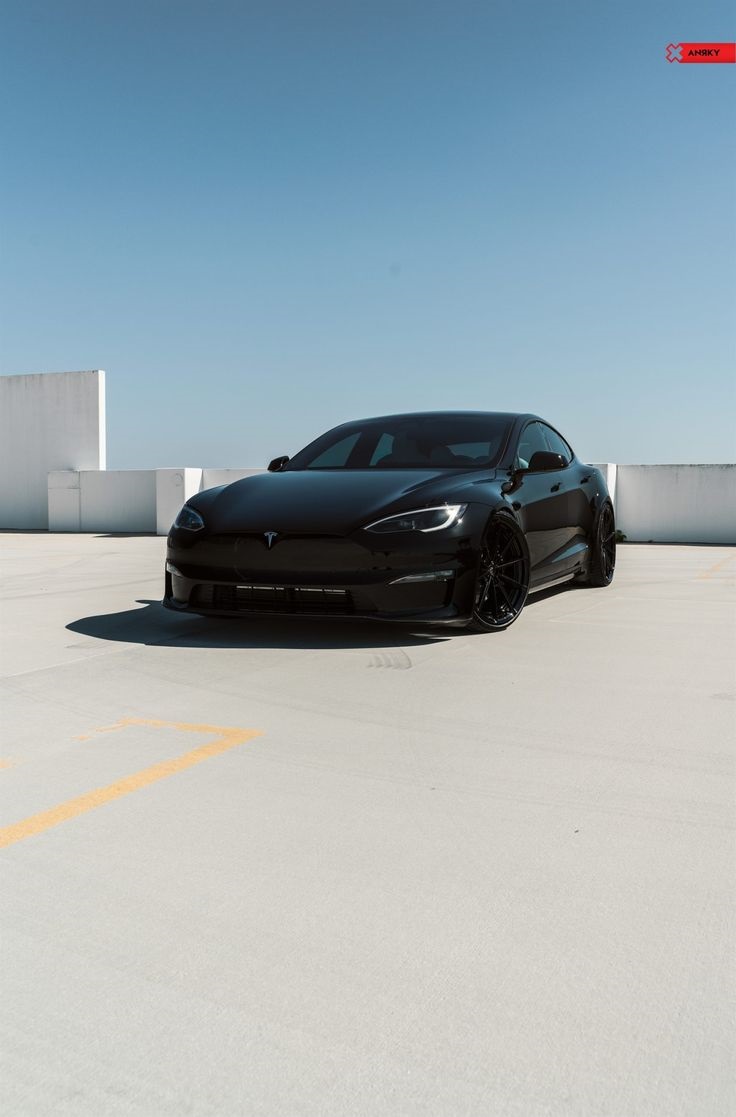 Model X